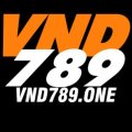 Vnd789one Avatar, Vnd789one Profilbild