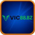 Vic88bz Avatar, Vic88bz Profilbild