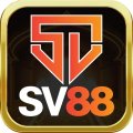 Sv88southernwell Avatar, Sv88southernwell Profilbild