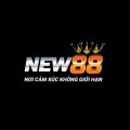 New88833 Avatar, New88833 Profilbild