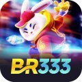 Br333co Avatar, Br333co Profilbild